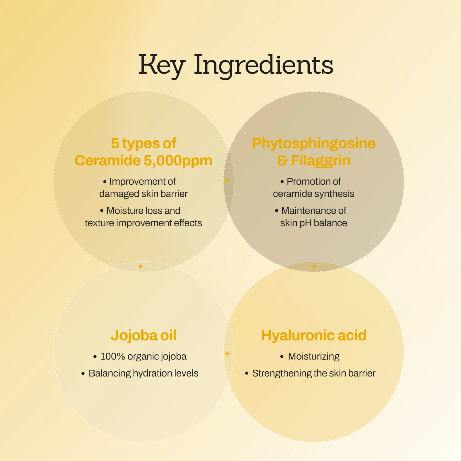 Jojoba Ceramide Barrier Cream - Image 7